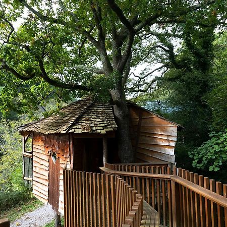 Deerpark Cabins, Cornwall - Forest Holidays Лискерд Экстерьер фото
